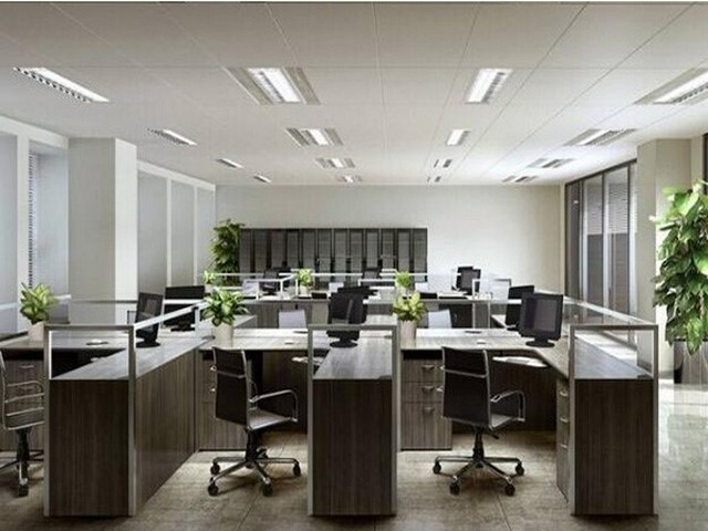 福建J774A1细胞多少钱